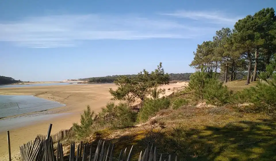 paysage plage des Conches en Vendée