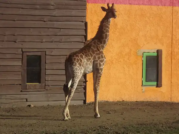 Zoo des Sables d'Olonnes